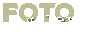 Inhalt